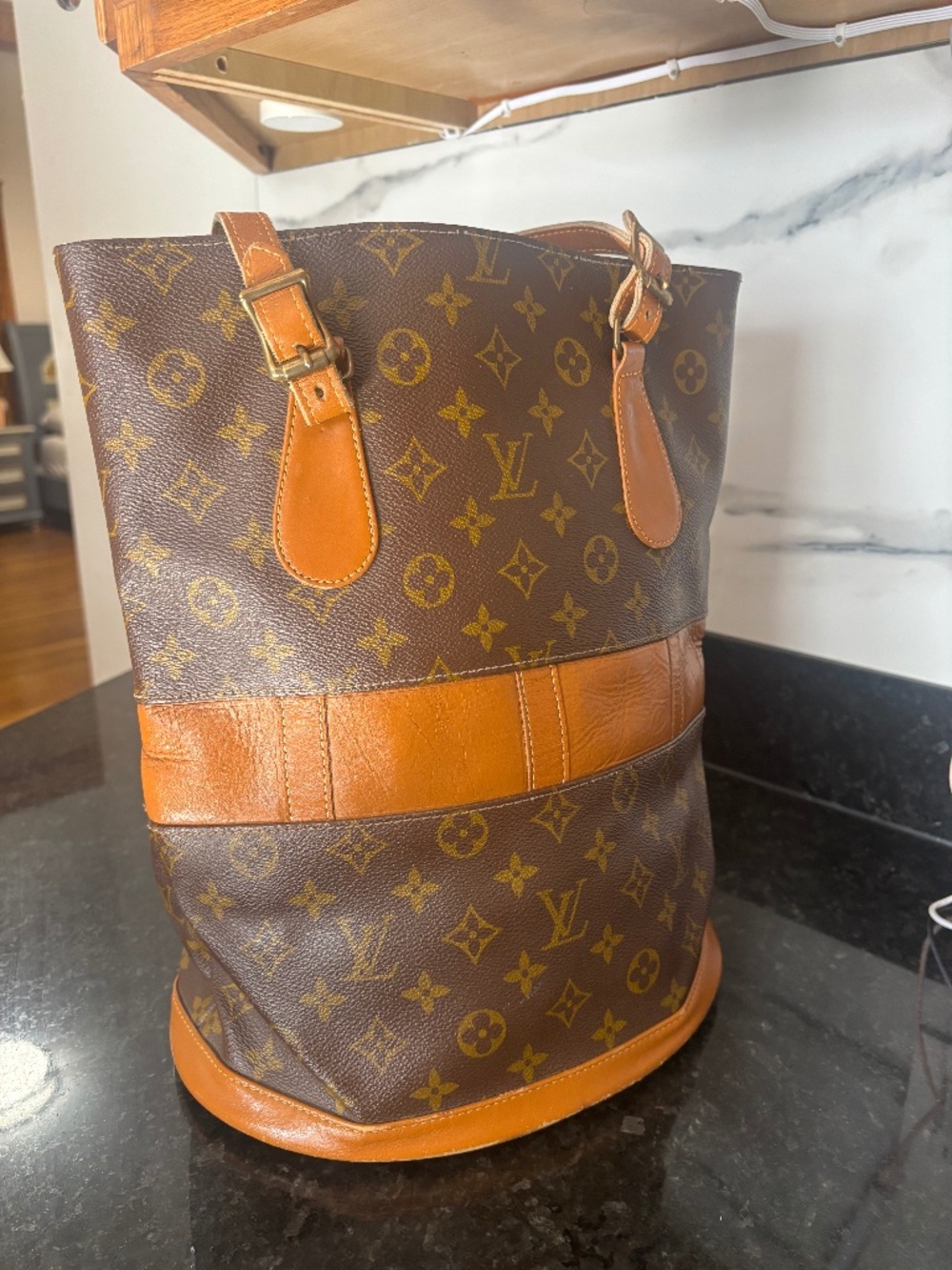 Louis Vuitton French Company Monogram Petit Marais Bucket